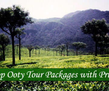 Cheap Ooty Tour Packages .Cabsrental.in