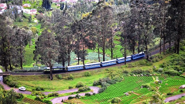 Ooty Toy Train - Ooty Hills Station Darshan Cab - Ooty Local Sightseeing Cabs.cabsrental.in
