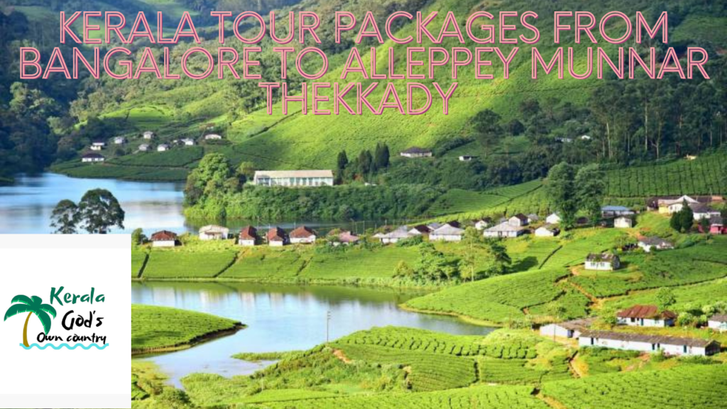 kerala tour packages from bangalore to Alleppey Munnar Thekkady