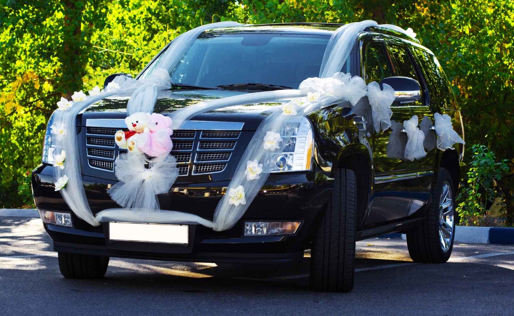 weding Car Rental Banglore